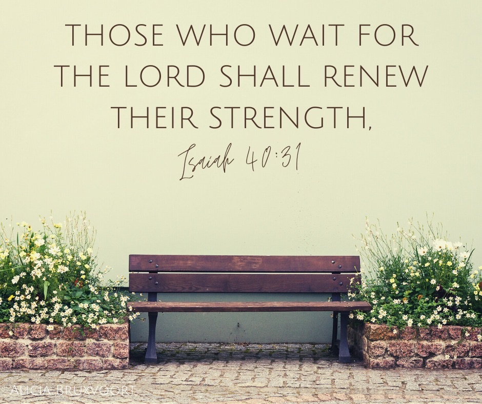 The Strength in the Wait: An Update on My Journey